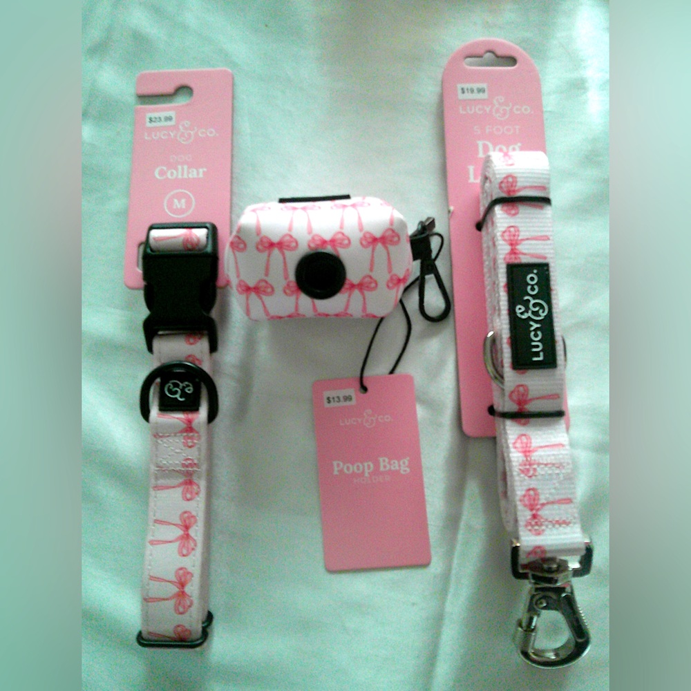 Lucy & Co Pink Bow Dog Collar, Leash, Poop Bag Holder (M)